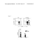 CCR6  As A Biomarker of  Alzheimer s Disease diagram and image