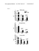 CCR6  As A Biomarker of  Alzheimer s Disease diagram and image