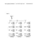 DETECTION OF NUCLEIC ACID SEQUENCES ADJACENT TO REPEATED SEQUENCES diagram and image