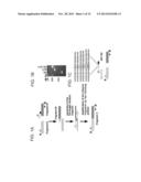 METHODS OF DIAGNOSING DISEASE USING OVERLAP EXTENSION PCR diagram and image