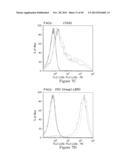 ANTIBODIES AND IMMUNOCONJUGATES AND USES THEREFOR diagram and image