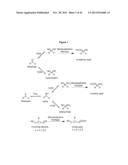 Nitrilases, Nucleic Acids Encoding Them and Methods for Making and Using     Them diagram and image