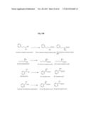 Nitrilases, Nucleic Acids Encoding Them and Methods for Making and Using     Them diagram and image