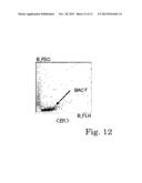 APPARATUS FOR ANALYZING PARTICLES IN URINE AND METHOD THEREOF diagram and image