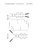 PEPTIDES AND RELATED MOLECULES THAT MODULATE NERVE GROWTH FACTOR ACTIVITY diagram and image