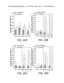 Methods for Producing Tissue Scaffold Directing Differentiation of Seeded     Cells and Tissue Scaffolds Produced Thereby diagram and image