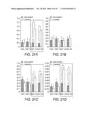 Methods for Producing Tissue Scaffold Directing Differentiation of Seeded     Cells and Tissue Scaffolds Produced Thereby diagram and image