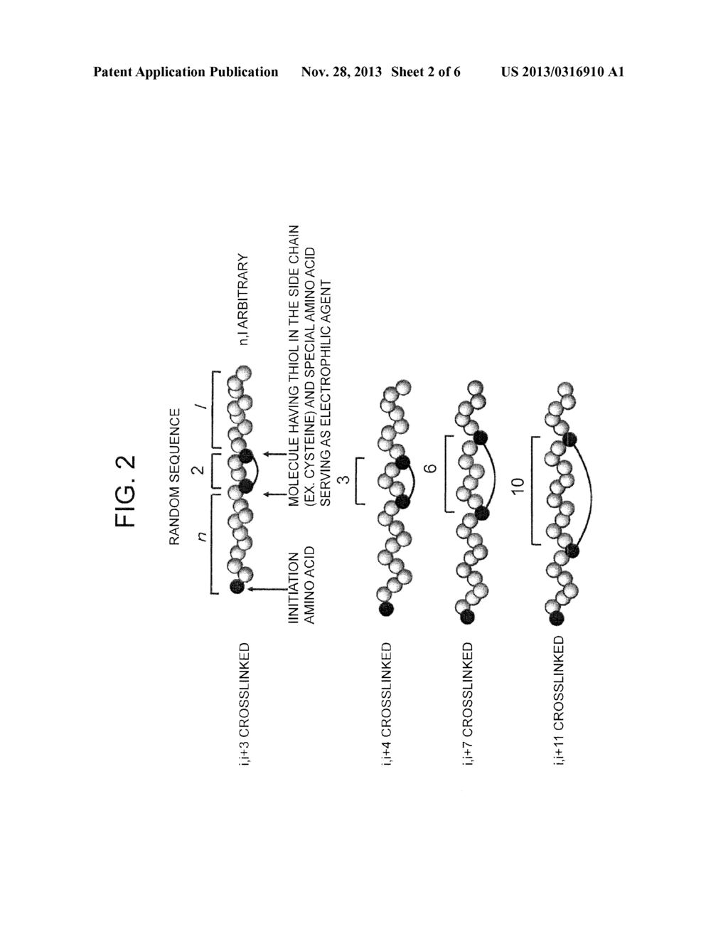 Peptide with Safer Secondary Structure, Peptide Library, and Production     Methods for Same - diagram, schematic, and image 03