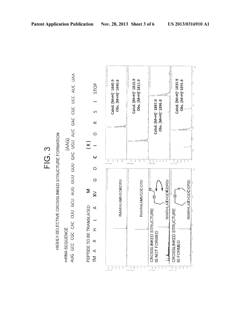 Peptide with Safer Secondary Structure, Peptide Library, and Production     Methods for Same - diagram, schematic, and image 04