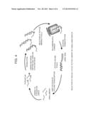 Peptide with Safer Secondary Structure, Peptide Library, and Production     Methods for Same diagram and image