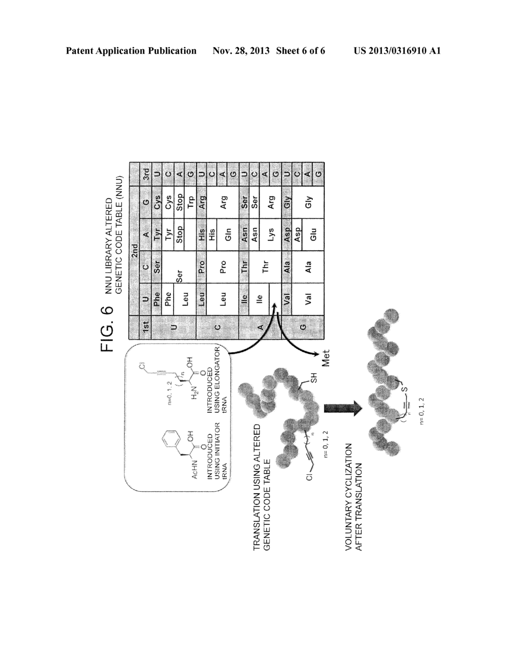 Peptide with Safer Secondary Structure, Peptide Library, and Production     Methods for Same - diagram, schematic, and image 07