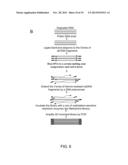 Isolation of CpG Islands by Thermal Segregation and Enzymatic     Selection-Amplification Method diagram and image