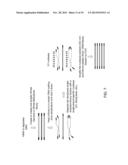 Isolation of CpG Islands by Thermal Segregation and Enzymatic     Selection-Amplification Method diagram and image