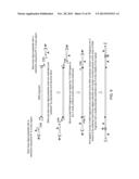 Isolation of CpG Islands by Thermal Segregation and Enzymatic     Selection-Amplification Method diagram and image