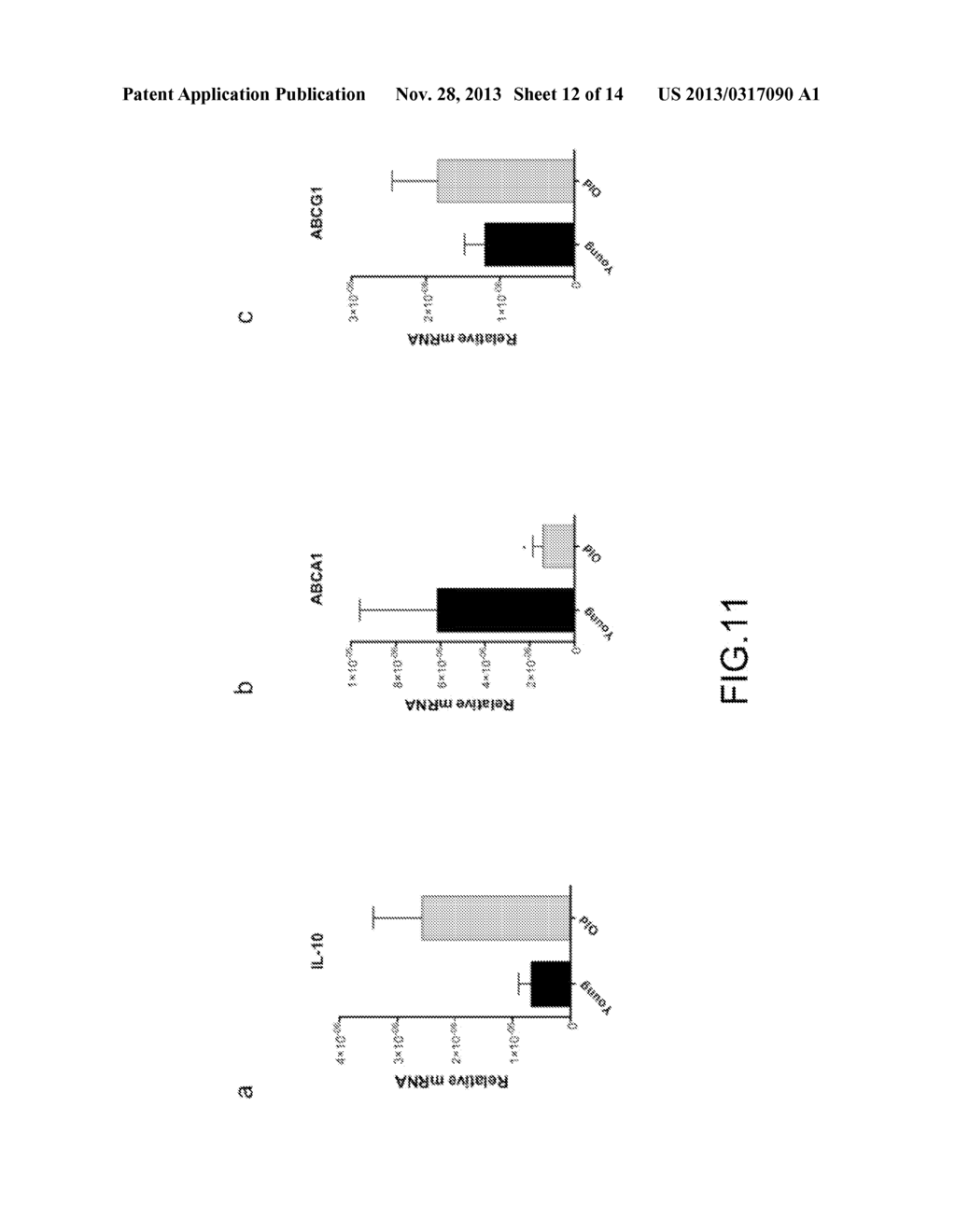 INHIBITION OF CHOROIDAL NEOVASCULARIZATION - diagram, schematic, and image 13