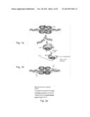 AGENTS, COMPOSITIONS AND METHODS FOR TREATING PATHOLOGIES IN WHICH     REGULATING AN ACHE-ASSOCIATED BIOLOGICAL PATHWAY IS BENEFICIAL diagram and image