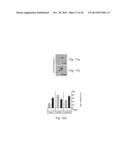 AGENTS, COMPOSITIONS AND METHODS FOR TREATING PATHOLOGIES IN WHICH     REGULATING AN ACHE-ASSOCIATED BIOLOGICAL PATHWAY IS BENEFICIAL diagram and image