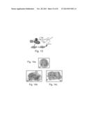 AGENTS, COMPOSITIONS AND METHODS FOR TREATING PATHOLOGIES IN WHICH     REGULATING AN ACHE-ASSOCIATED BIOLOGICAL PATHWAY IS BENEFICIAL diagram and image