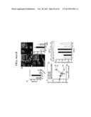 AGENTS, COMPOSITIONS AND METHODS FOR TREATING PATHOLOGIES IN WHICH     REGULATING AN ACHE-ASSOCIATED BIOLOGICAL PATHWAY IS BENEFICIAL diagram and image