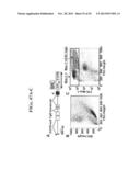 AGENTS, COMPOSITIONS AND METHODS FOR TREATING PATHOLOGIES IN WHICH     REGULATING AN ACHE-ASSOCIATED BIOLOGICAL PATHWAY IS BENEFICIAL diagram and image