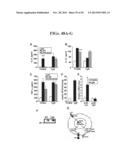 AGENTS, COMPOSITIONS AND METHODS FOR TREATING PATHOLOGIES IN WHICH     REGULATING AN ACHE-ASSOCIATED BIOLOGICAL PATHWAY IS BENEFICIAL diagram and image