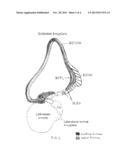 METHOD OF IMPROVING NEUROPSYCHOLOGICAL FUNCTION IN PATIENTS WITH     NEUROCOGNITIVE DISORDERS diagram and image