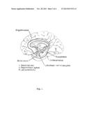 METHOD OF IMPROVING NEUROPSYCHOLOGICAL FUNCTION IN PATIENTS WITH     NEUROCOGNITIVE DISORDERS diagram and image