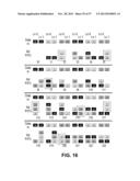 SHARED DICTIONARY BETWEEN DEVICES diagram and image