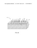 STANDARDIZED TOPOGRAPHICAL ARRANGEMENTS FOR TEMPLATE REGIONS THAT ORIENT     SELF-ASSEMBLY diagram and image