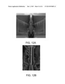 PREPARATION OF LAMELLAE FOR TEM VIEWING diagram and image