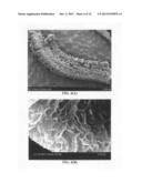 Rechargeable dual electroplating cell diagram and image