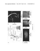 NANOCOMPOSITES FOR NEURAL PROSTHETICS DEVICES diagram and image
