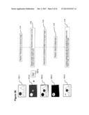 ESTIMATION, ENCODING AND DECODING OF MOTION INFORMATION IN     MULTIDIMENSIONAL SIGNALS THROUGH MOTION ZONES, AND AUXILIARY INFORMATION     THROUGH AUXILIARY ZONES diagram and image