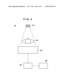 RADIATION DETECTION APPARATUS AND IMAGING SYSTEM diagram and image