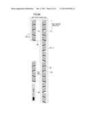 Image Forming Apparatus Forming Marks for Correcting Deviation in Printing     Position diagram and image