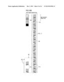 Image Forming Apparatus Forming Marks for Correcting Deviation in Printing     Position diagram and image