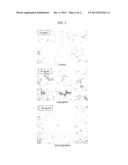 SPARC ANGIOGENIC DOMAIN AND METHODS OF USE diagram and image