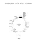 DIAGNOSTIC AND THERAPEUTIC USES OF MOESIN FRAGMENTS diagram and image