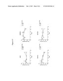 METHODS FOR TREATING CANCER WITH NOTCH2/3 ANTIBODIES diagram and image