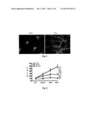 THERAPEUTIC COMPOSITION FOR TREATMENT OF GLIOBLASTOMA diagram and image