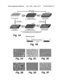 GRAPHENE-BASED SELF-HUMIDIFYING MEMBRANE AND SELF-HUMIDIFYING FUEL CELL diagram and image