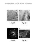 GRAPHENE-BASED SELF-HUMIDIFYING MEMBRANE AND SELF-HUMIDIFYING FUEL CELL diagram and image