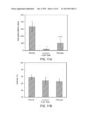 ISOLATED ADULT CELLS, ARTIFICIAL ORGANS, REHABILITATED ORGANS, RESEARCH     TOOLS, ORGAN ENCASEMENTS, ORGAN PERFUSION SYSTEMS, AND METHODS FOR     PREPARING AND UTILIZING THE SAME diagram and image