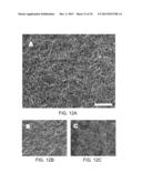 ISOLATED ADULT CELLS, ARTIFICIAL ORGANS, REHABILITATED ORGANS, RESEARCH     TOOLS, ORGAN ENCASEMENTS, ORGAN PERFUSION SYSTEMS, AND METHODS FOR     PREPARING AND UTILIZING THE SAME diagram and image