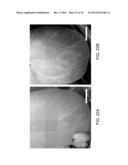 ISOLATED ADULT CELLS, ARTIFICIAL ORGANS, REHABILITATED ORGANS, RESEARCH     TOOLS, ORGAN ENCASEMENTS, ORGAN PERFUSION SYSTEMS, AND METHODS FOR     PREPARING AND UTILIZING THE SAME diagram and image