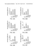 ISOLATED ADULT CELLS, ARTIFICIAL ORGANS, REHABILITATED ORGANS, RESEARCH     TOOLS, ORGAN ENCASEMENTS, ORGAN PERFUSION SYSTEMS, AND METHODS FOR     PREPARING AND UTILIZING THE SAME diagram and image