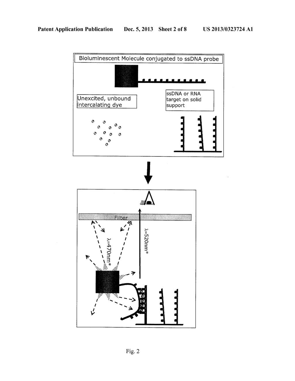 Chemiluminescence Proximity Nucleic Acid Assay - diagram, schematic, and image 03