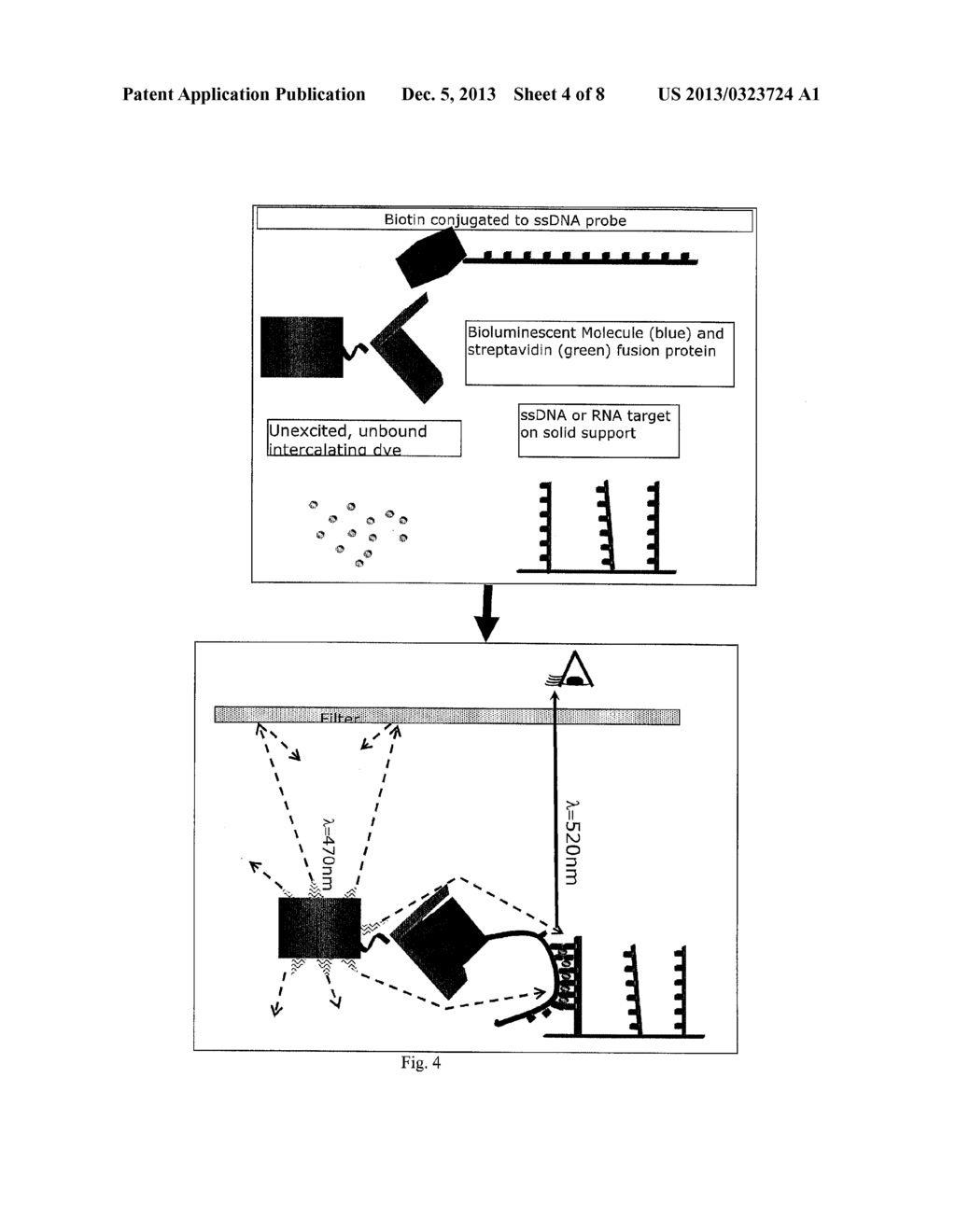 Chemiluminescence Proximity Nucleic Acid Assay - diagram, schematic, and image 05