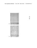 METHODS AND MATERIALS USING SIGNALING PROBES diagram and image