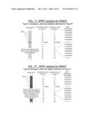 DETERMINATION OF THE DEPTH COVERAGE OF THE FETAL GENOME diagram and image